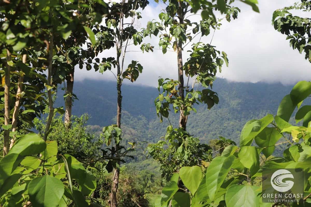 What Are the Disadvantages of Retiring in Panama?