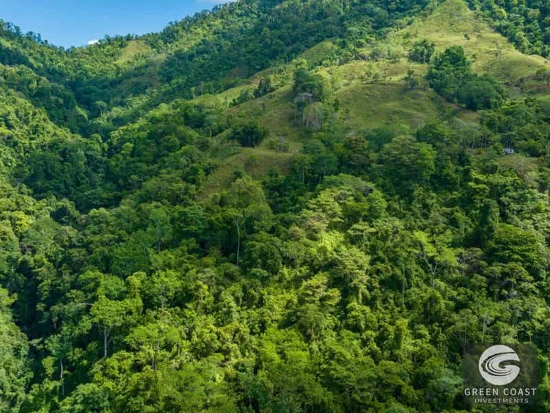 Ojochal Costa Rica Real Estate: Buyer's Guide