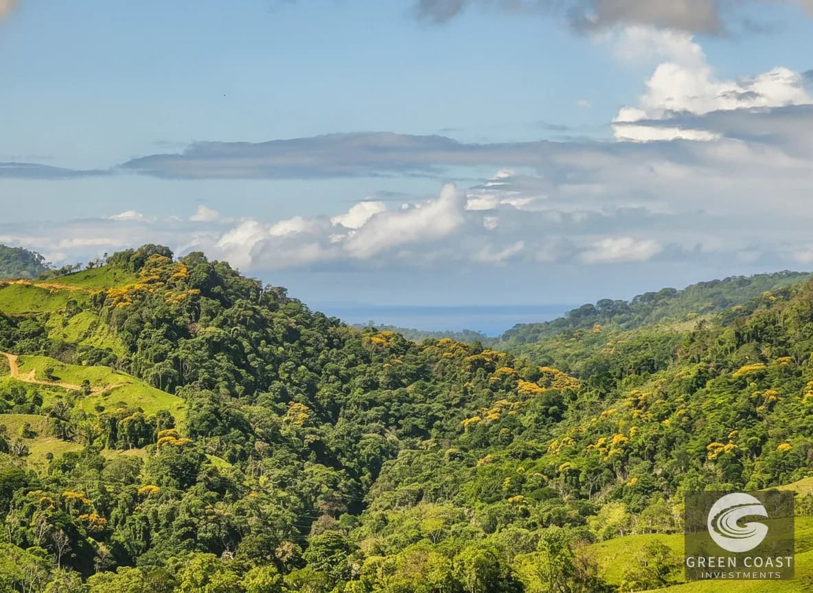 74-Acre Organic Farm with Mountain Views & Home Near Dominical Beach — view 3, Dominical, Puntarenas, Costa Rica