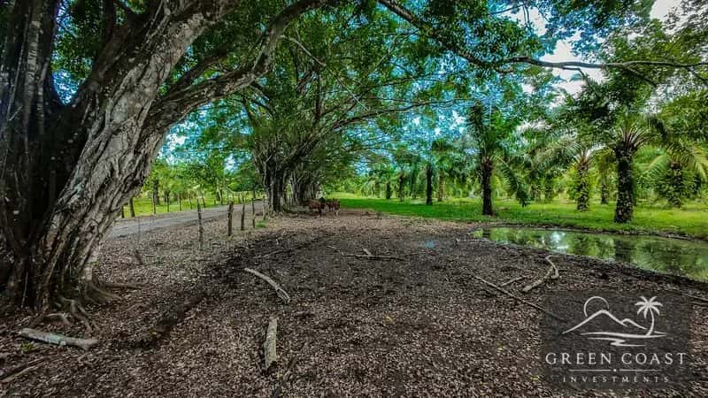 4,850 Acre Beachfront Legacy Ranch Esterillos Central Pacific Coast — view 1, Esterillos, Esterillos, Costa Rica