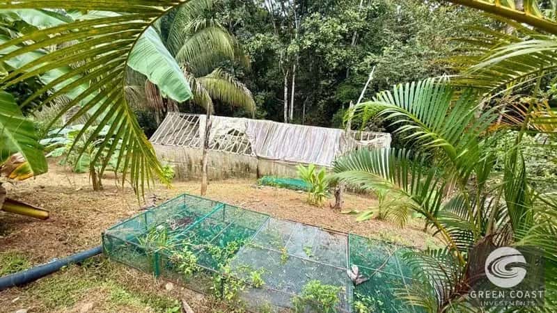 Eco-Homestead with Food Forest & Spring Water in Puriscal — view 1, Chires, Puriscal, Costa Rica