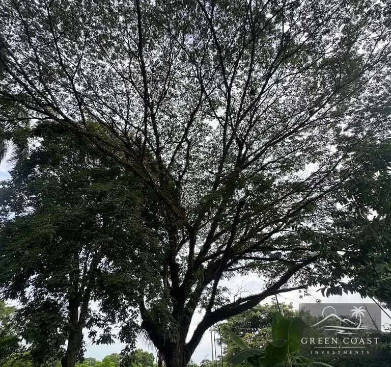 Lote Chile Playa Hermosa Jaco 735m2 — view 1, Garabito, Costa Rica