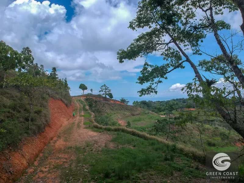 Panoramic Ocean View Ridge: 78 Acres of Prime Development Land in Osa — view 1, Ciudad Cortes, Osa, Costa Rica