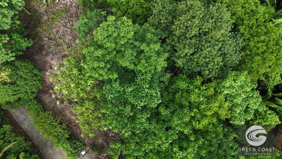 1.8-Acre Luxury Jungle Lot in Exclusive Quepos Gated Community – Perfect for Dream Home or Rental Estate — view 2, Manuel Antonio, Quepos, Costa Rica