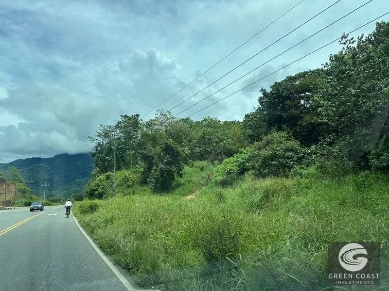 Prime 45-Hectare Development Land with Luxury Views Near Future Southern Costa Rica Airport — view 2, Palmar, Osa, Costa Rica