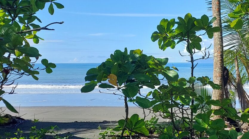 Cheap FrontBeach Lots