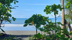 Cheap FrontBeach Lots