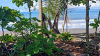 Cheap FrontBeach Lots