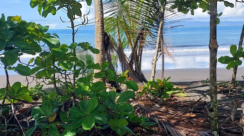 Cheap FrontBeach Lots