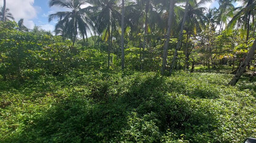 Cheap FrontBeach Lots