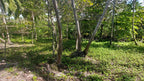 Cheap FrontBeach Lots