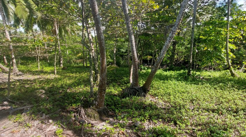 Cheap FrontBeach Lots