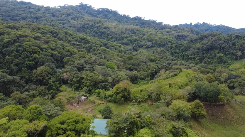 Modern Mountainside Retreat in Lagunas de Barú