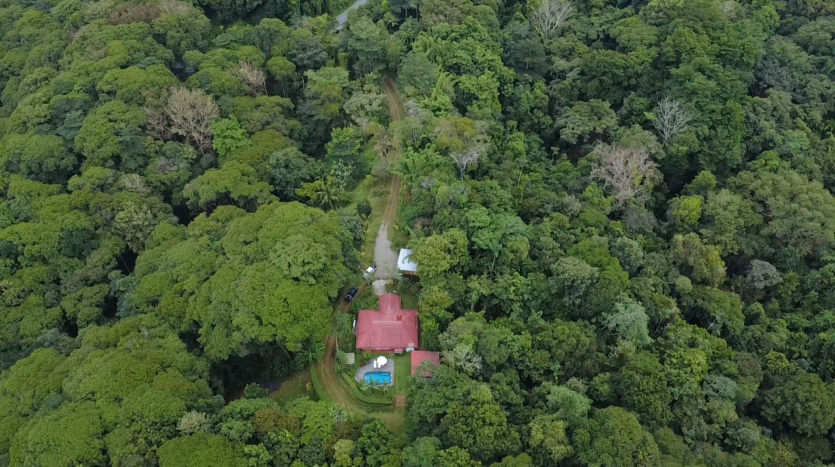 Private Jungle Estate Minutes From City & Coasta