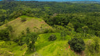 Dream farm with river, waterfalls, pastures, forest and ocean views.