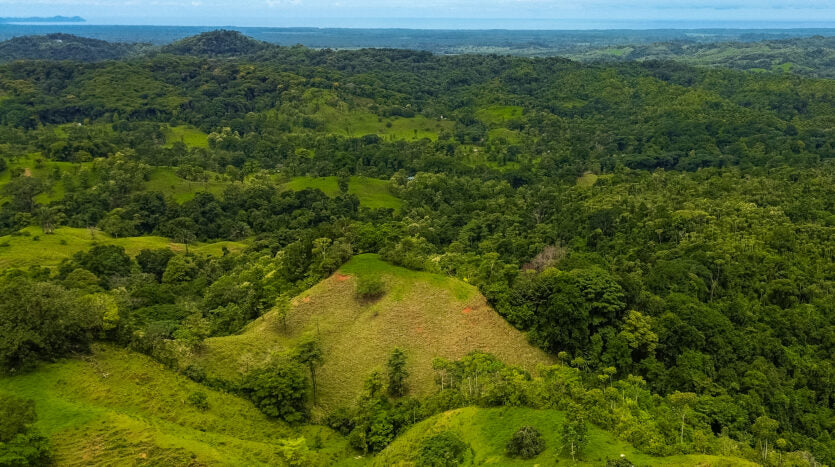 Dream farm with river, waterfalls, pastures, forest and ocean views.