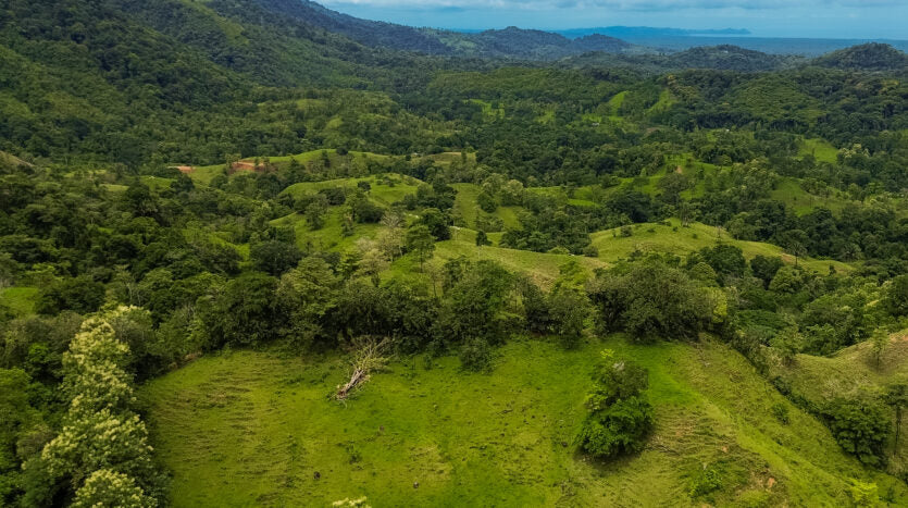 Dream farm with river, waterfalls, pastures, forest and ocean views.