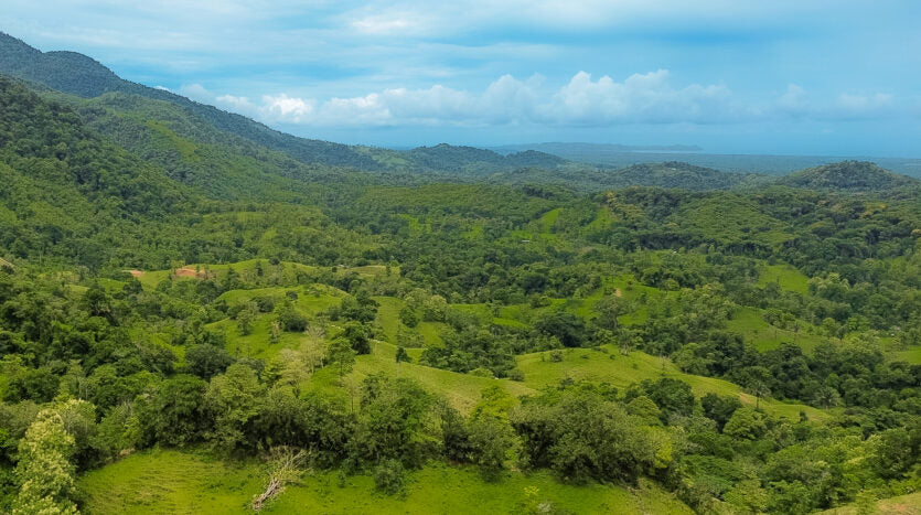 Dream farm with river, waterfalls, pastures, forest and ocean views.