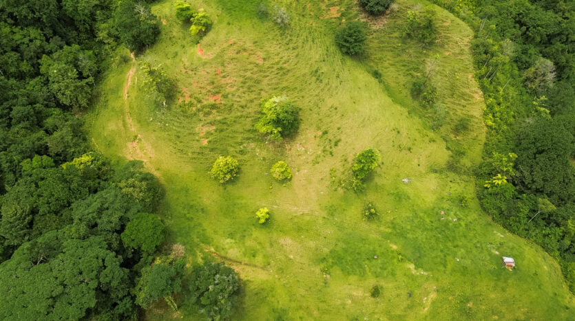 Dream farm with river, waterfalls, pastures, forest and ocean views.