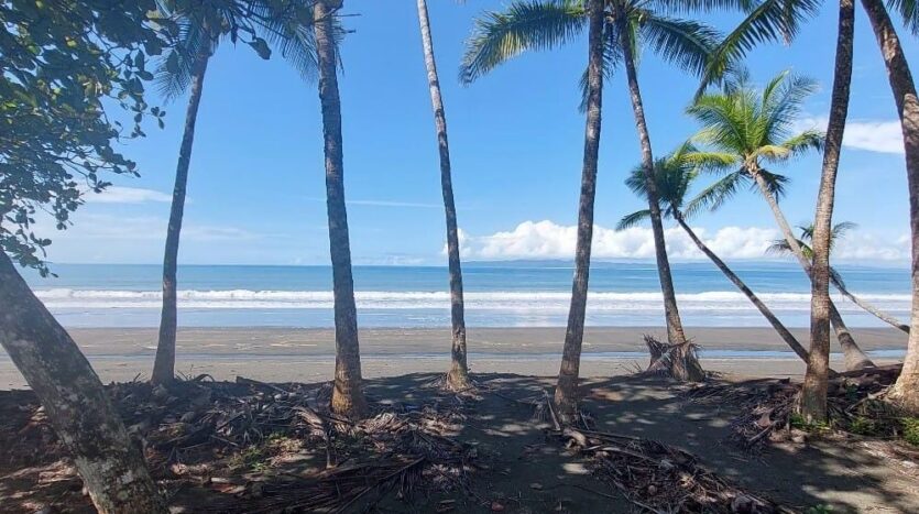 Cheap FrontBeach Lots