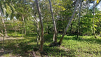 Cheap FrontBeach Lots