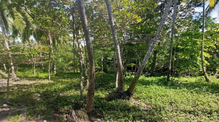 Cheap FrontBeach Lots