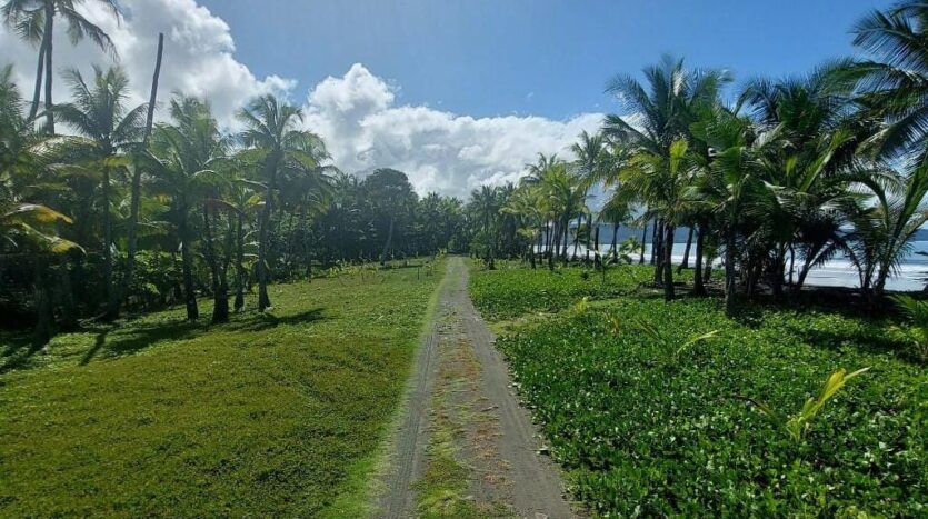 Cheap FrontBeach Lots