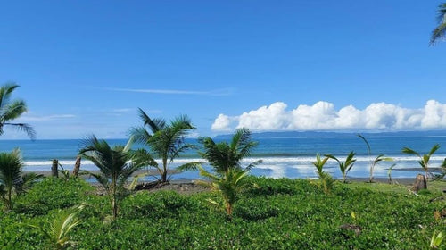 Cheap FrontBeach Lots