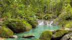 Dream farm with river, waterfalls, pastures, forest and ocean views.