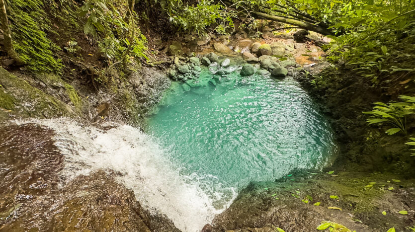 Dream farm with river, waterfalls, pastures, forest and ocean views.
