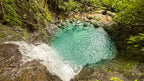 Dream farm with river, waterfalls, pastures, forest and ocean views.