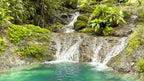Dream farm with river, waterfalls, pastures, forest and ocean views.