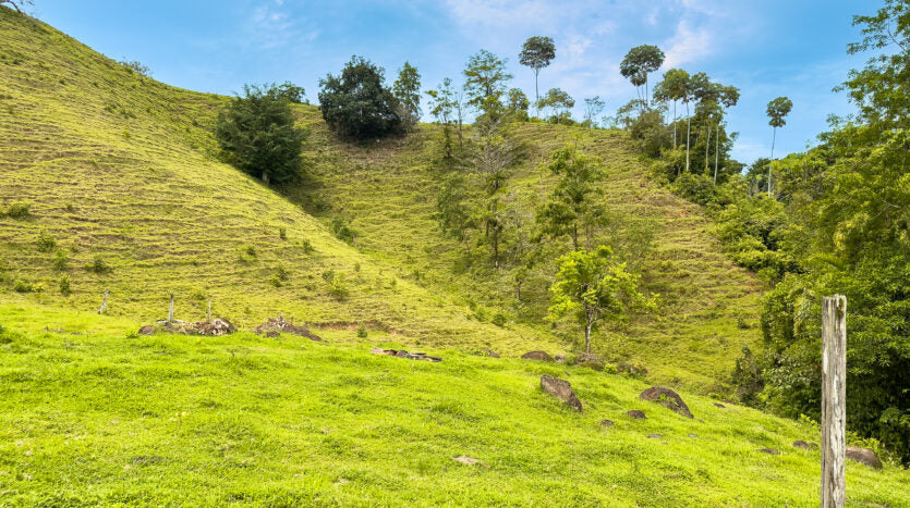 Dream farm with river, waterfalls, pastures, forest and ocean views.