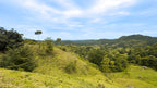 Dream farm with river, waterfalls, pastures, forest and ocean views.