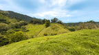 Dream farm with river, waterfalls, pastures, forest and ocean views.