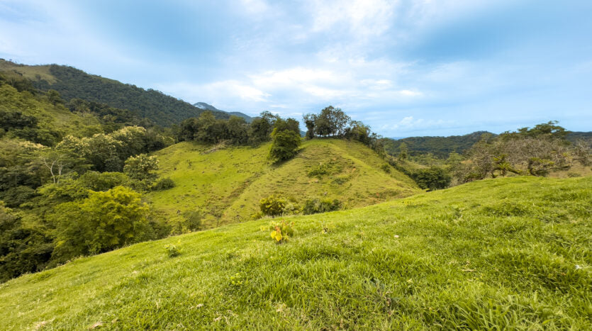 Dream farm with river, waterfalls, pastures, forest and ocean views.