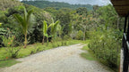 Private Jungle Estate Minutes From City & Coasta