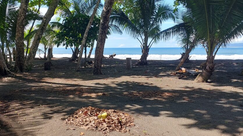 Cheap FrontBeach Lots