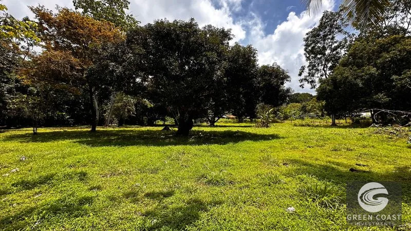 2.5-Acre Development Parcel Near Marino Ballena National Park & Beach in Uvita — view 1, Uvita, Costa Rica