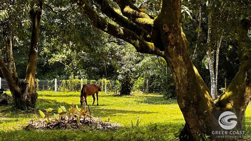 2.5-Acre Development Parcel Near Marino Ballena National Park & Beach in Uvita — view 3, Uvita, Costa Rica