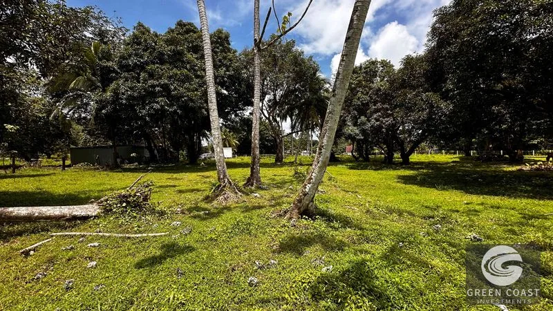 2.5-Acre Development Parcel Near Marino Ballena National Park & Beach in Uvita — view 4, Uvita, Costa Rica