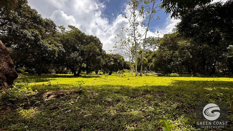 2.5-Acre Development Parcel Near Marino Ballena National Park & Beach in Uvita — view 5, Uvita, Costa Rica