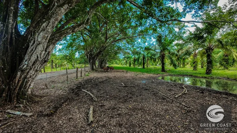 4,850 Acre Beachfront Legacy Ranch Esterillos Central Pacific Coast — view 15, Esterillos, Esterillos, Costa Rica