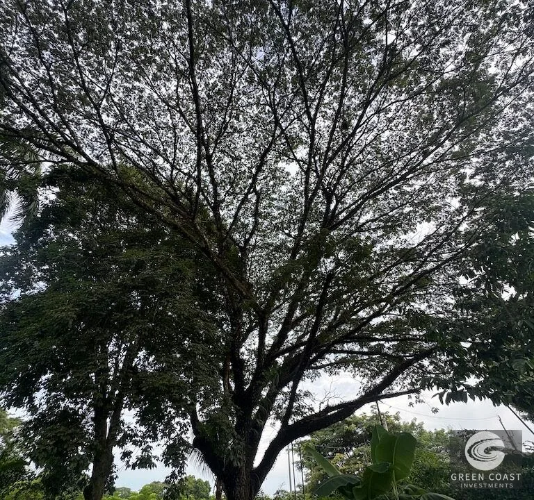 Lote Chile Playa Hermosa Jaco 735m2 — view 7, Garabito, Costa Rica