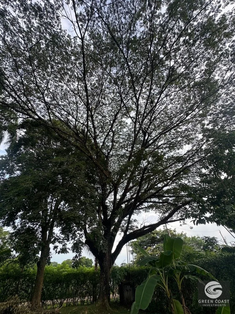 Lote Chile Playa Hermosa Jaco 735m2 — view 14, Costa Rica
