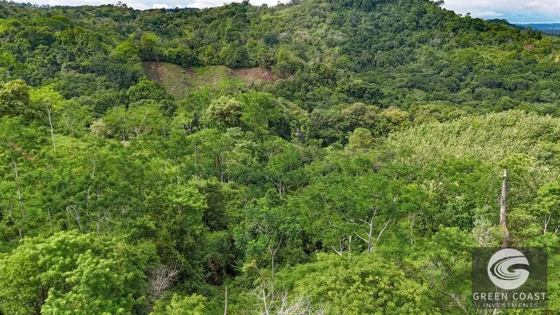 177 acre Ocean view property with multiple plantels, unspoiled mountain, jungle, river and waterfall areas — view 2, Puerto Cortés, Osa, Costa Rica
