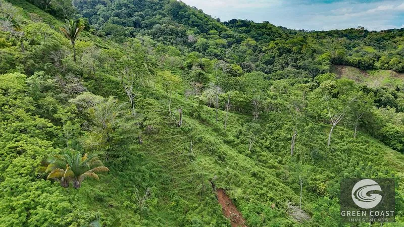 177 acre Ocean view property with multiple plantels, unspoiled mountain, jungle, river and waterfall areas — view 3, Puerto Cortés, Osa, Costa Rica