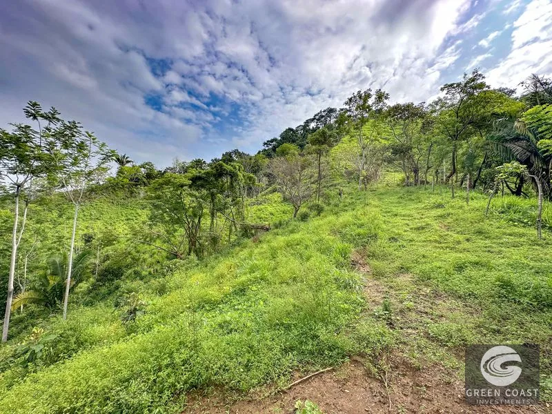 177 acre Ocean view property with multiple plantels, unspoiled mountain, jungle, river and waterfall areas — view 5, Puerto Cortés, Osa, Costa Rica