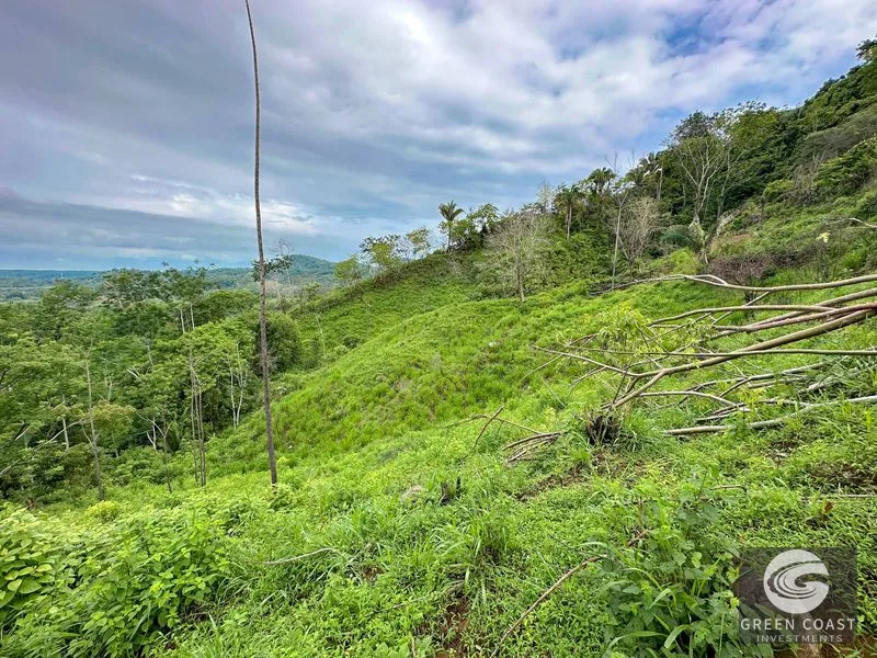 177 acre Ocean view property with multiple plantels, unspoiled mountain, jungle, river and waterfall areas — view 7, Puerto Cortés, Osa, Costa Rica