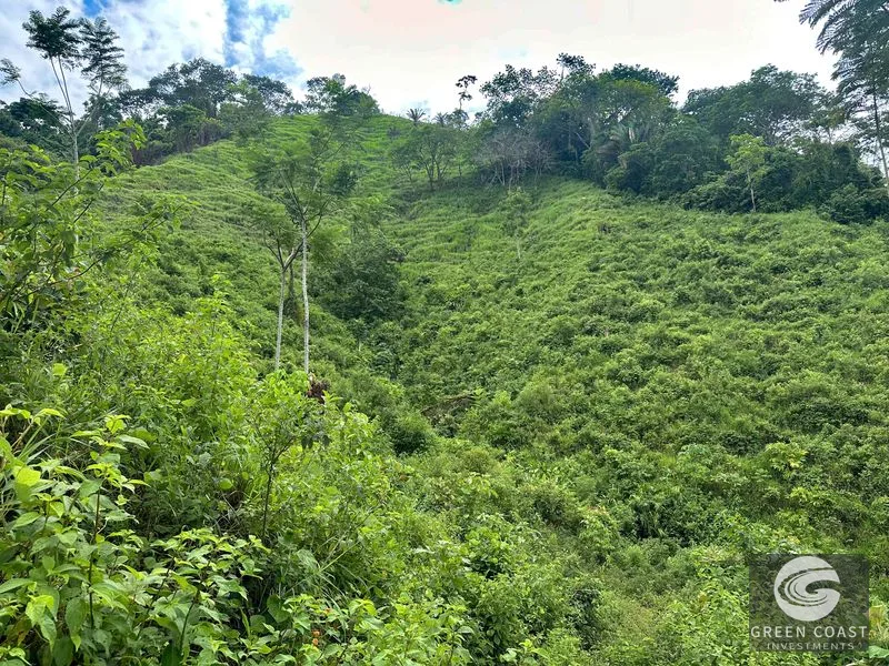 177 acre Ocean view property with multiple plantels, unspoiled mountain, jungle, river and waterfall areas — view 8, Puerto Cortés, Osa, Costa Rica